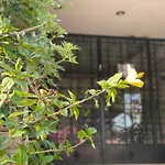 مدينة النصر