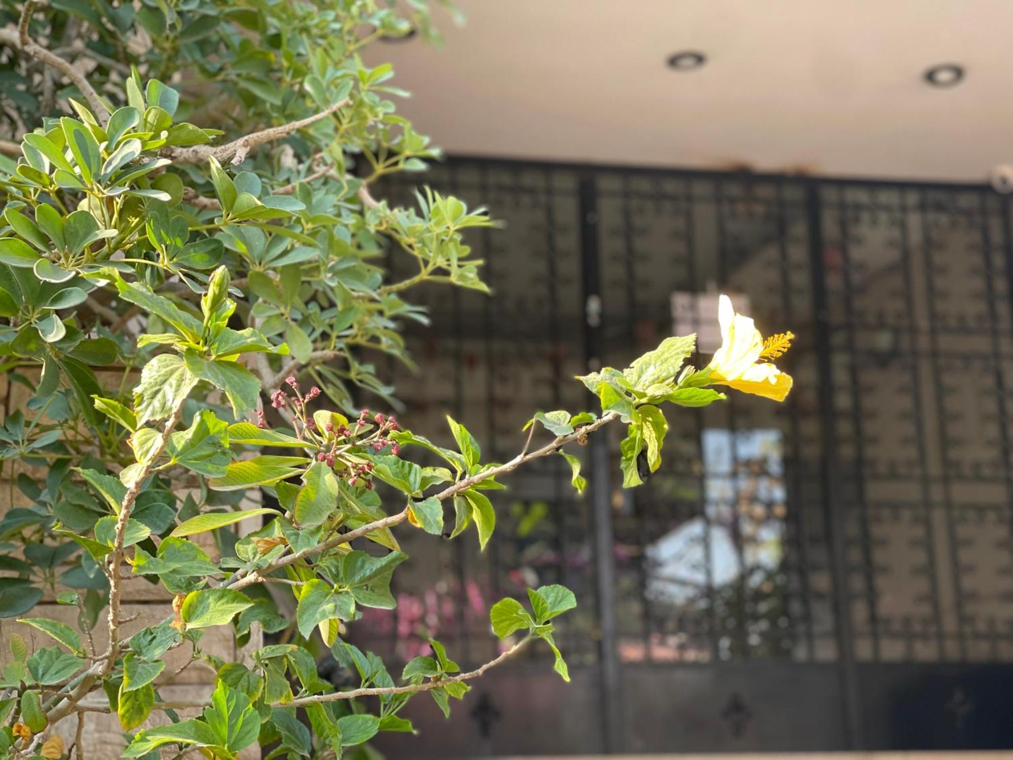Apartment مدينة النصر Cairo